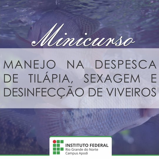 #47383 Estão abertas as inscrições para o minicurso: Manejo na despesca de tilápia, sexagem e desinfecção de viveiros