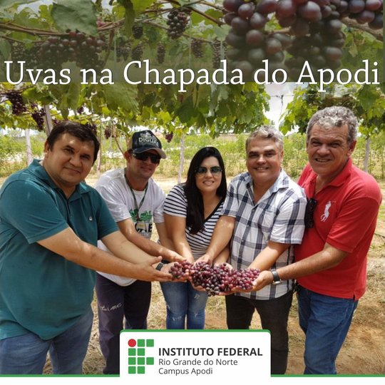 #47443 Uvas no semiárido: uma cultura promissora para o RN