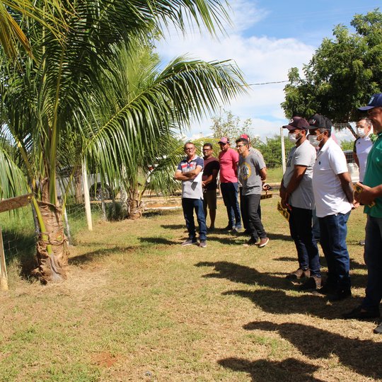 #47564 Campus Apodi leiloa 41 animais em 10ª edição do evento