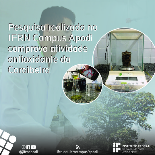 #47592 Pesquisa comprova atividade antioxidante da Caraibeira