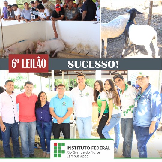 #47659 O Campus Apodi realiza 6º Leilão de suínos e ovinos 