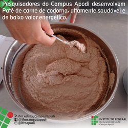 #47697 Pesquisadores do Campus Apodi desenvolvem Patê de carne de codorna enriquecido ou não com farinha de sementes de abóbora