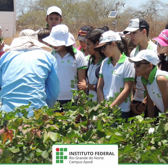 #47764 Alunos do IFRN/Campus Apodi realizam visita técnica a estação experimental da EMPARN