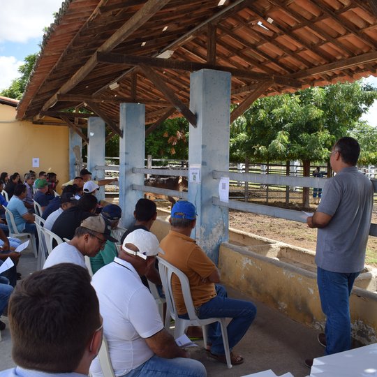 #4776 FUNCERN e DIGUAE/IP realizam 18º leilão de animais