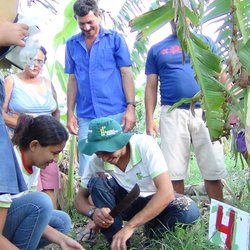 #4817 Alunos socializam técnicas de controle de praga da cultura da banana com agricultores familiares de Ipanguaçu-RN