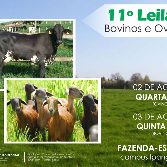 #4819 Campus Ipanguaçu realiza 11º Leilão de Bovinos e Ovinos