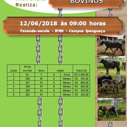 #4829 Campus Ipanguaçu do IFRN promove Leilão de bovinos