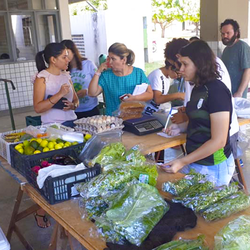 #48589 Projeto GerAção Solidária: mulheres e jovens protagonistas de uma economia solidária