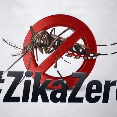 #49317 Ministro, Aloizio Mercadante, envia carta à comunidade estudantil visando coordenar ações sociais contra o Aedes aegypti