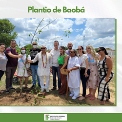 #49629 Plantio do Baobá