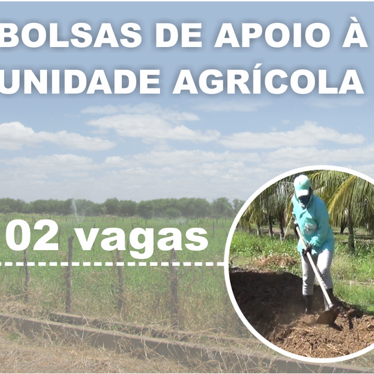 #4979 Diretoria da Unidade Agrícola Escola divulga inscrições deferidas do processo seletivo para programa de apoio à unidade produtiva