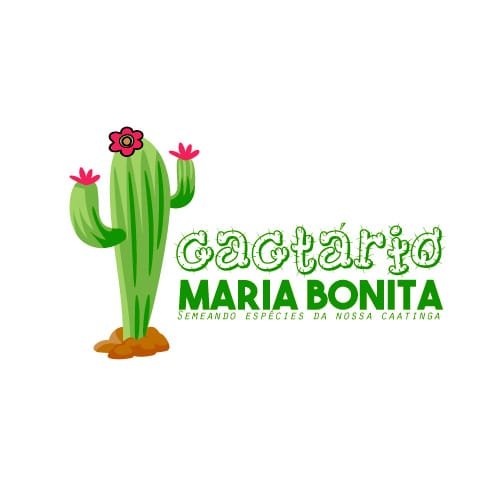 #49880 Projeto Cactário Maria Bonita promoverá minicurso de terrário