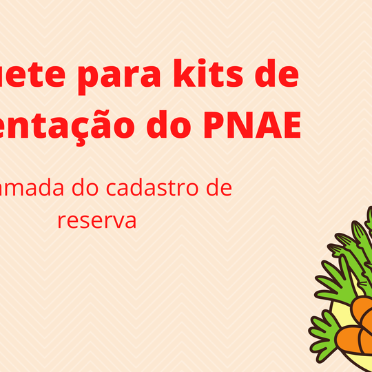 #50048 Divulgada a lista de alunos(as) remanescentes da enquete dos kits de alimentação