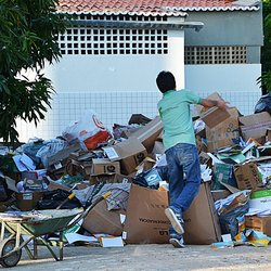#50069 Mais de 34 toneladas de papel foram recolhidas durante a Semana de Meio Ambiente