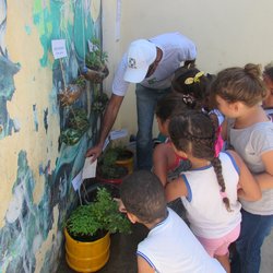 #50182 Projeto de extensão trabalha sustentabilidade em escolas municipais de Areia Branca