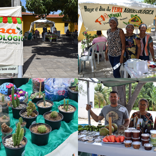#5029 Núcleo IFSOL realiza Feira Agroecológica no campus