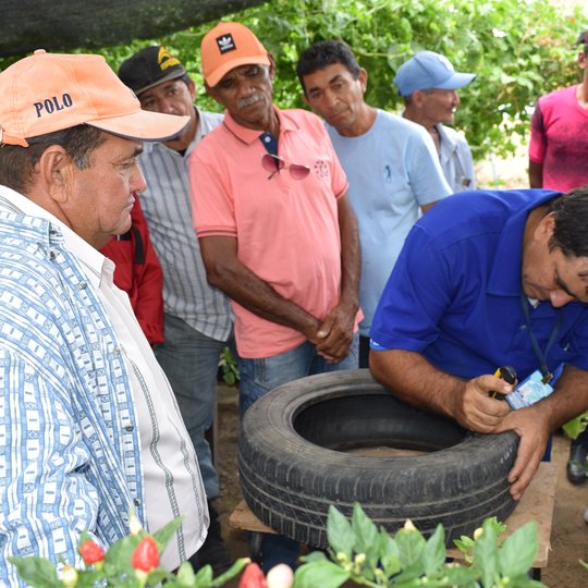 #5045 Campus recebe assentados do P. A. Bom Fim para ação do Projeto Enraizando Saberes