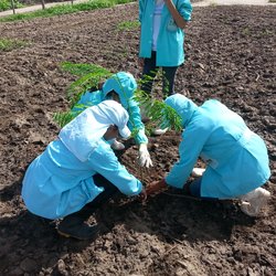 #5078 Unidade Agrícola-Escola faz reintrodução de espécies nativas da Caatinga
