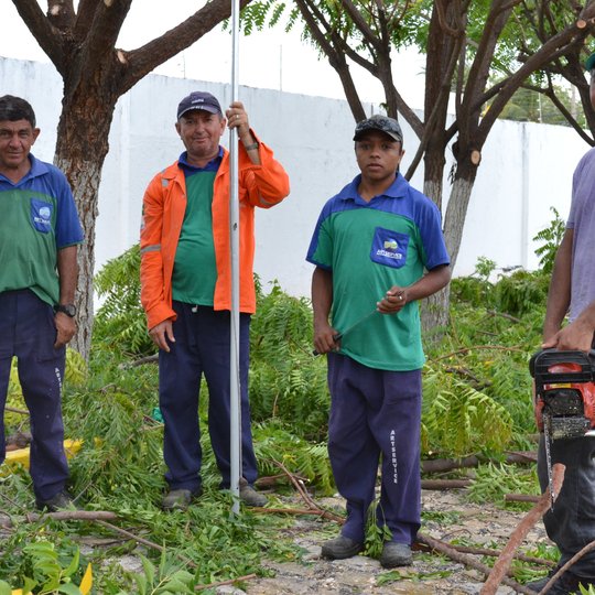 #50891 Servidores terceirizados do IFRN recebem treinamento de podador profissional