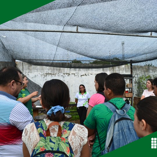 #51095 Projeto de extensão "Cactário Maria Bonita" realiza minicurso de terrário