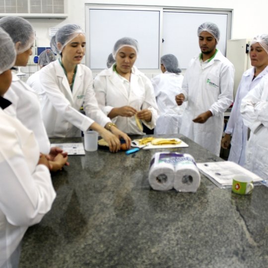 #51496 Projeto de Extensão "Abelha Rainha Artesã" beneficia mulheres do Alto Oeste Potiguar