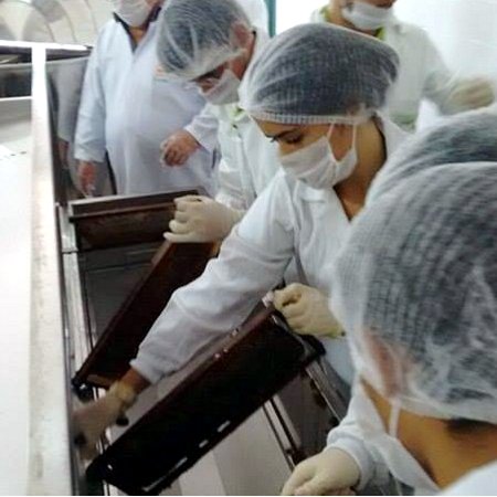 #51582 Alunos do curso técnico em Apicultura participam de visita técnica no Ceará