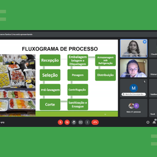 #51951 Projeto de extensão promove oficina gratuita sobre "Processamento e Aproveitamento de Frutas e Hortaliças"