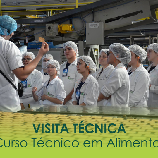 #52153 Concluintes do curso técnico em Alimentos participam de visitas técnicas no Ceará