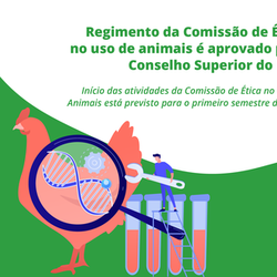 #52188 Regimento da Comissão de Ética no uso de animais é aprovado pelo Conselho Superior do IFRN