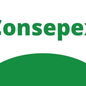 #52446 Reunião do Consepex é encerrada sem a discussão de todos os pontos de pauta