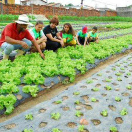 #52773 Com orçamento de 1,3 milhão de reais, IFRN abre chamadas públicas para agricultura familiar