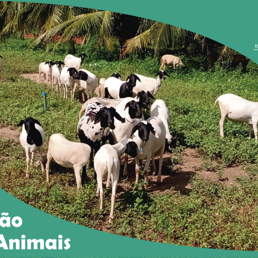 #5291 DIGUAE organiza 16º leilão de animais para o dia 08 de março