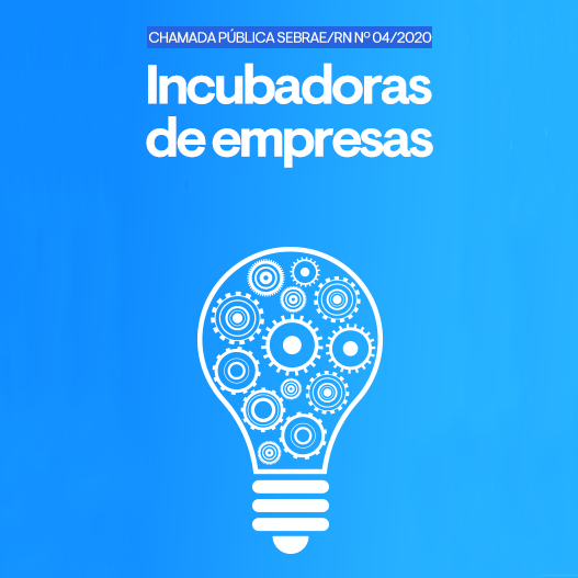#52938 Incubadora de empresas do Campus é selecionada pelo Sebrae RN para apoio técnico e financeiro