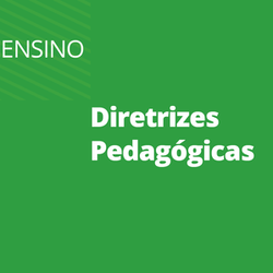 #53115 Publicada resolução com atualização de diretrizes pedagógicas
