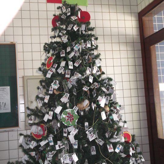 #5371 "Árvore Homenagem de Natal" é destaque no Câmpus Ipanguaçu