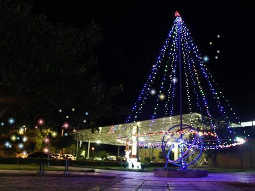 Árvore de Natal de 6 metros de altura foi instalada na praça do Campus. Foto: Coordenação de Comunicação Social e Eventos