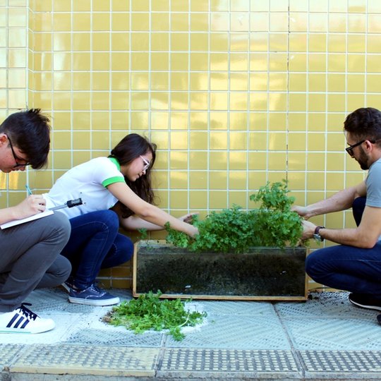 #53828 Alunos do curso técnico em Informática estão desenvolvendo microssistema de irrigação automática