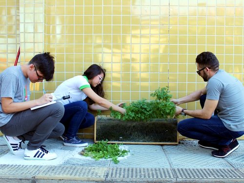 Técnico em agropecuária do Campus repassa orientações técnicas aos alunos sobre a horta orgânica
