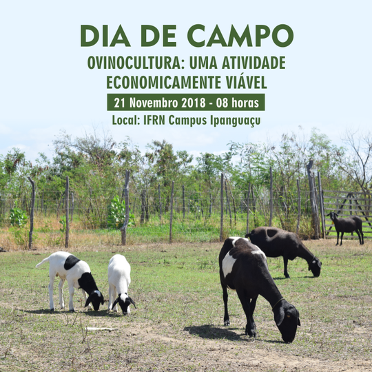 #5407 NEPPAGRO realiza Dia de Campo na próxima quarta-feira