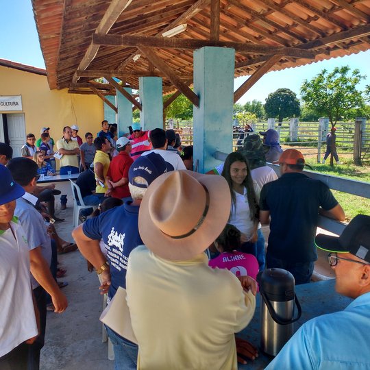 #5420 Campus realiza 11º Leilão de ovinos e bovinos 