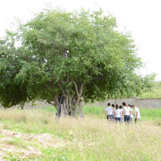 #55044 Dia Mundial do Meio Ambiente é celebrado com atividades dentro e fora do Campus SPP