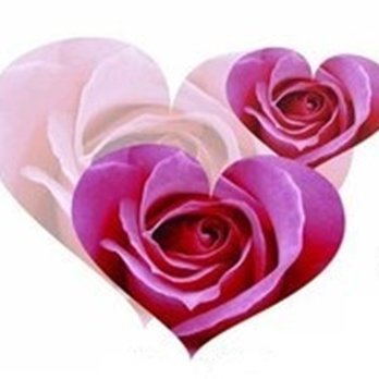 #55449 Mensagem do Dia das Mães