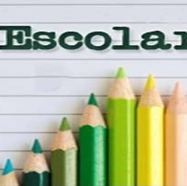 #55553 Censo Escolar