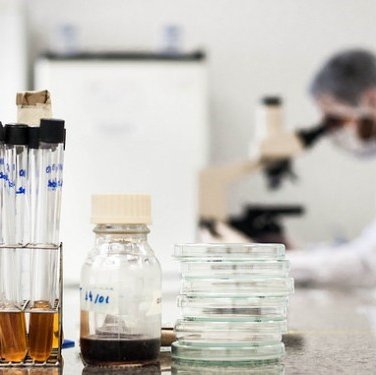 #55554 Curso de Meio Ambiente seleciona alunos para laboratório.