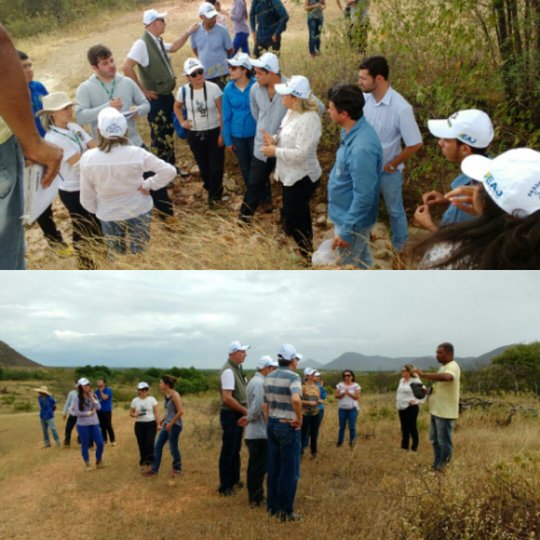 #7232 Coordenação de extensão faz visita a área do Projeto da Potencialidade de Povoamento Florestais