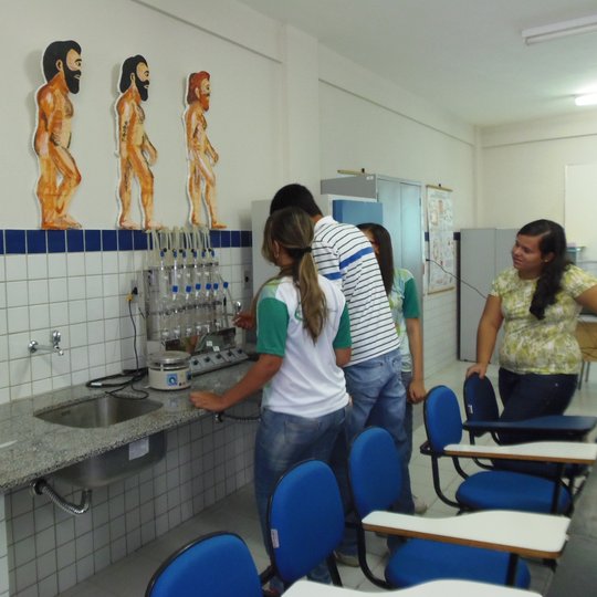 #7315 Minicurso: Produção de Biodiesel, Teoria e Prática