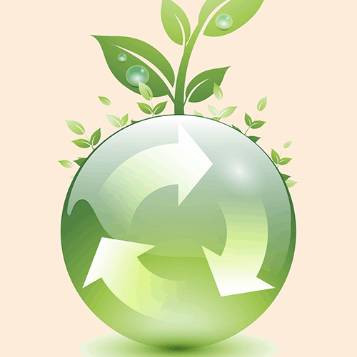 #8052 CAMPUS JOÃO CÂMARA REALIZA OFICINA DE HORTA DOMÉSTICA