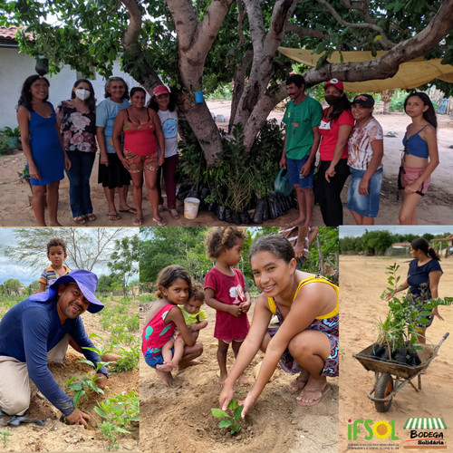 Ação beneficiou 15 famílias do Assentamento Modelo II em João Câmara/RN com mudas de plantas nativas, frutíferas e medicinais