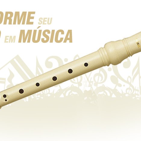 #9356 Projeto Musicalização com Flauta Doce