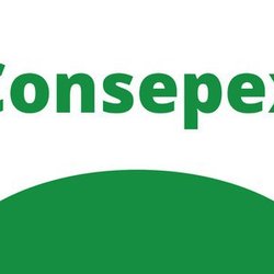 #9957 Reunião do Consepex é encerrada sem a discussão de todos os pontos de pauta